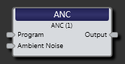 ANC Block